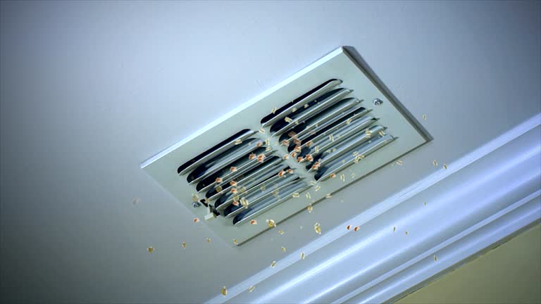 Affordable HVAC Duct Cleaning in Jefferson, WI