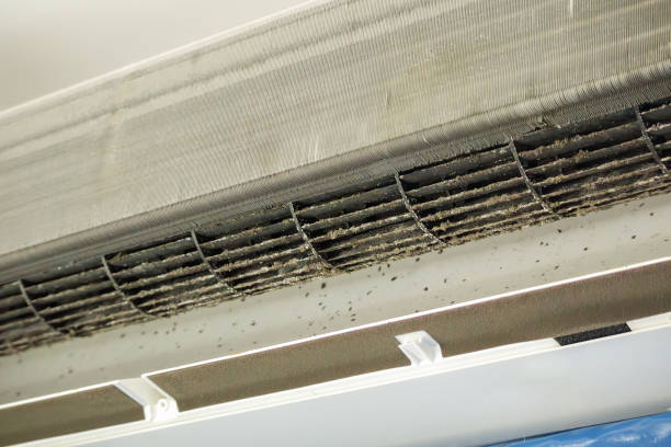Best Best Air Duct Cleaning Company  in Jefferson, WI